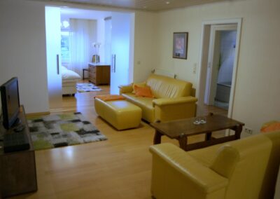 Wohnzimmer mit Sofa und Sat-TV – Ferienwohnung und Monteurwohnung in Lampertheim